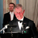 Prins Charles på talerstolen under middagen (Foto: Lise Åserud / Scanpix)